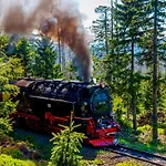 Regiohotel Schanzenhaus - #wellnessbereich #naturauszeitharz #ruhigamwald #freeparking Hotel