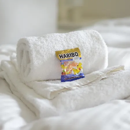Regiohotel Schanzenhaus - #wellnessbereich #naturauszeitharz #ruhigamwald #freeparking Hotel 3*