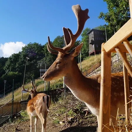 Regiohotel Schanzenhaus - #wellnessbereich #naturauszeitharz #ruhigamwald #freeparking Wernigerode