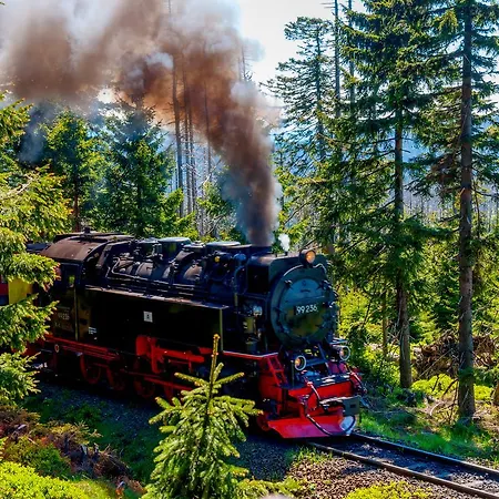 Regiohotel Schanzenhaus - #wellnessbereich #naturauszeitharz #ruhigamwald #freeparking Hotell