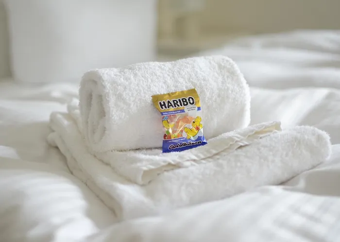 Regiohotel Schanzenhaus - #wellnessbereich #naturauszeitharz #ruhigamwald #freeparking מלון 3*