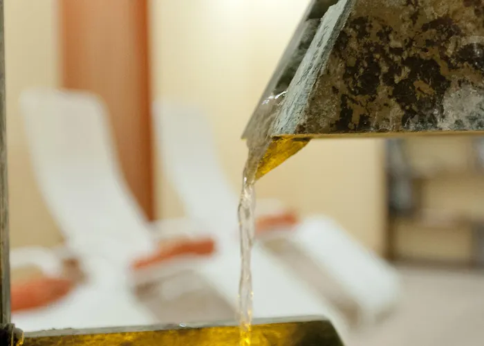 Regiohotel Schanzenhaus - #wellnessbereich #naturauszeitharz #ruhigamwald #freeparking Hotel Wernigerode