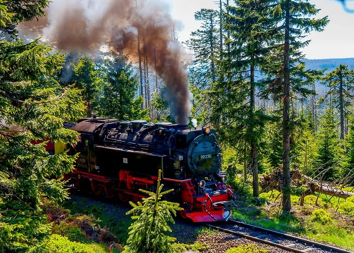 Regiohotel Schanzenhaus - #wellnessbereich #naturauszeitharz #ruhigamwald #freeparking Hotell